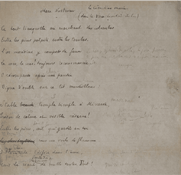 Image de l'exposition 1